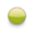 bullet